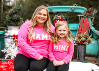 Hanninen | christmas mini | 2024